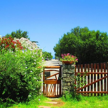 Phocea Bed & Breakfast San Teodoro  Exterior photo